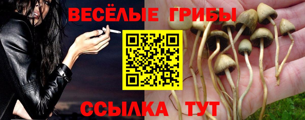 Хабаровск  Псилоцибиновые грибы ЛСД  Вход с VPN 